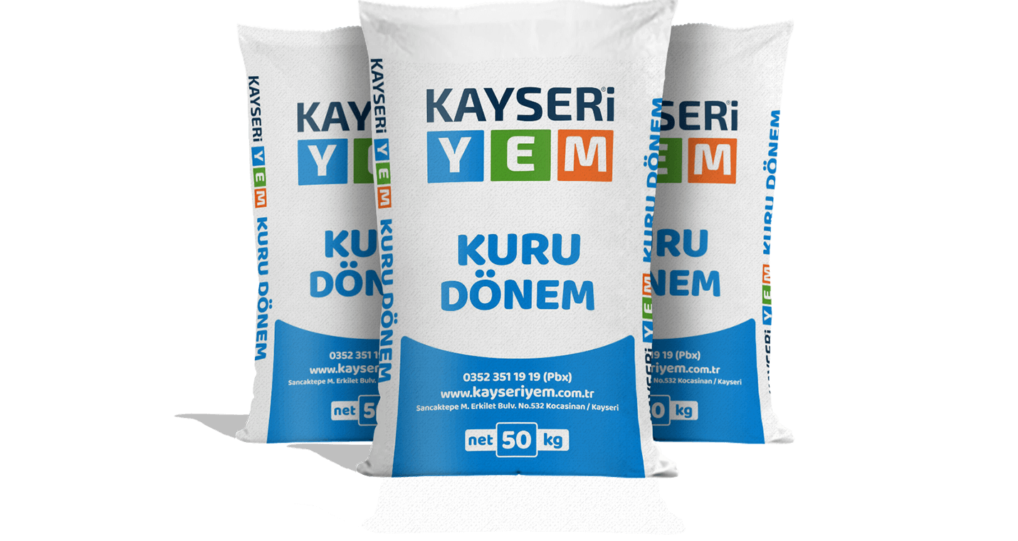 Kuru Dönem Yemi