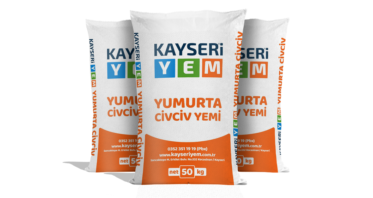 Yumurta Civciv Yemi