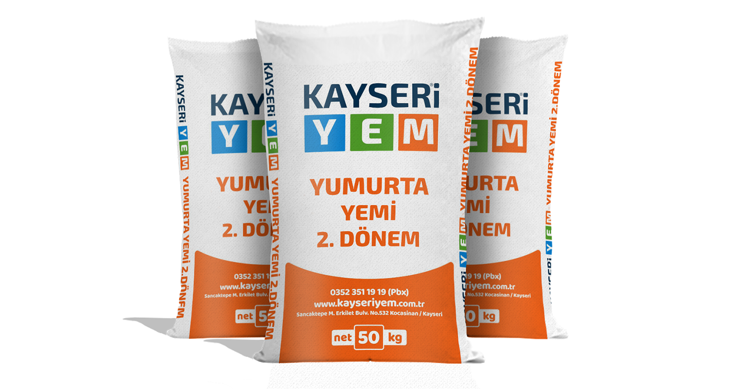 Yumurta Yemi 2.Dönem