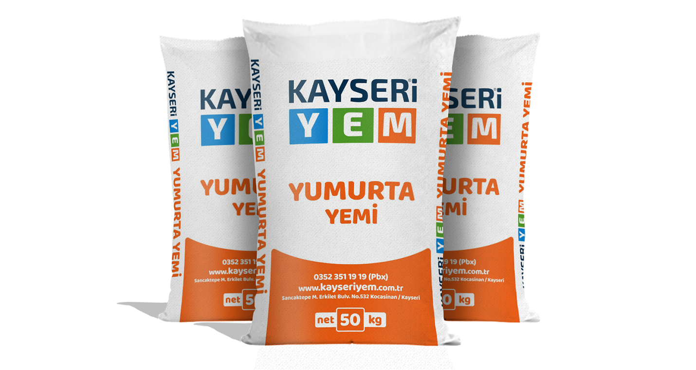 Yumurta Yemi